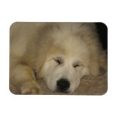Lass Sleeping Pyrs Lie Magnet (Horizontal)
