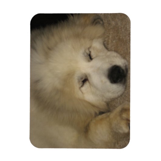 Lass Sleeping Pyrs Lie Magnet (Vertikal)