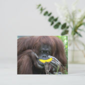 Lass uns als Freunde! Postkarte (Stehend Vorderseite)