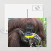 Lass uns als Freunde! Postkarte (Vorne/Hinten)
