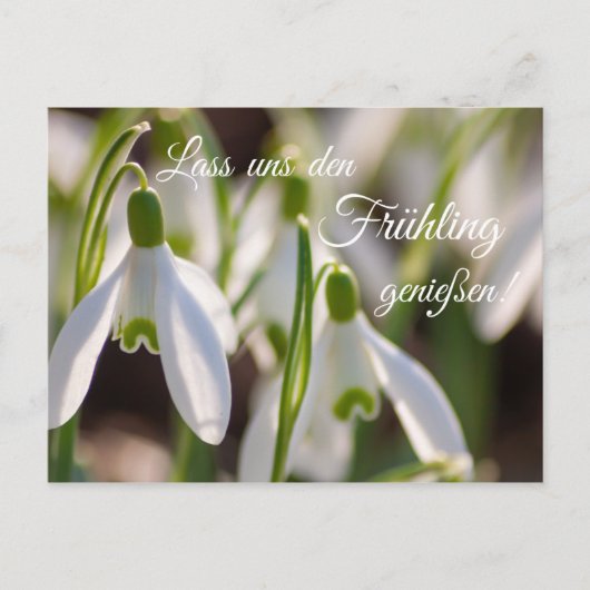 Lass uns die Frühling genießen! Postkarte (Vorderseite)