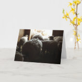 "Lass uns draußen gehen" Schafe Stehend in der Näh Karte (Gelbe Blume)