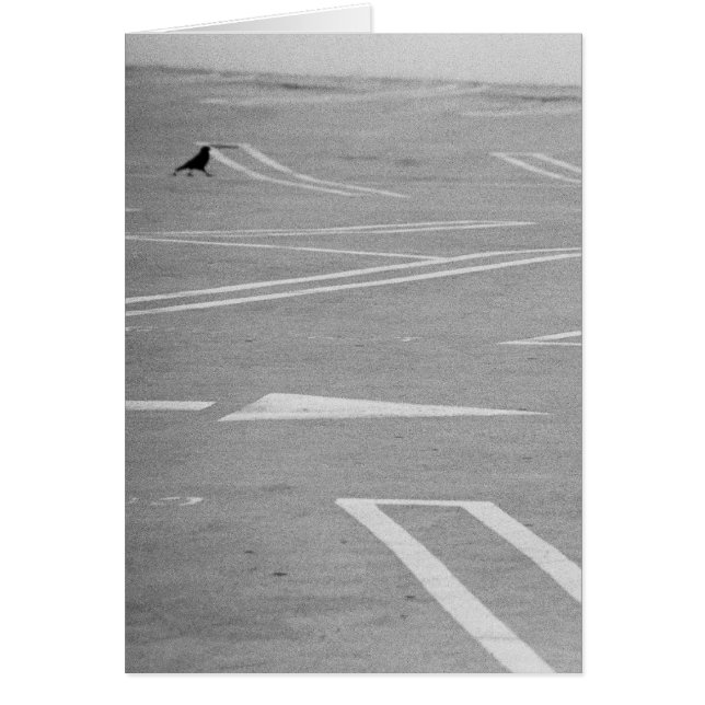 Lass uns so gehen! (Vorne)