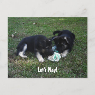 Lass uns spielen! Deutsche Schäferpuppy-Postkarte Postkarte