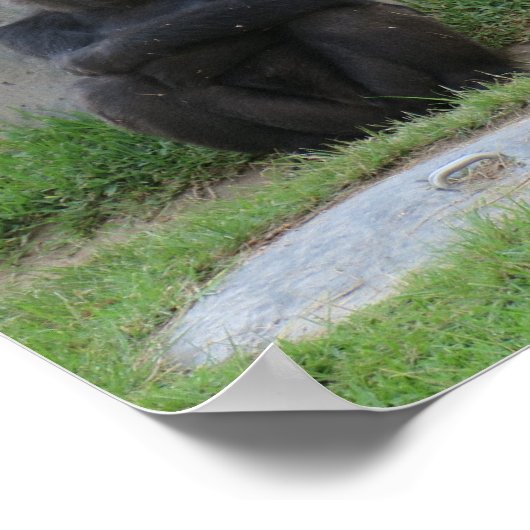 Lass uns warten und sehen poster (Ecke)