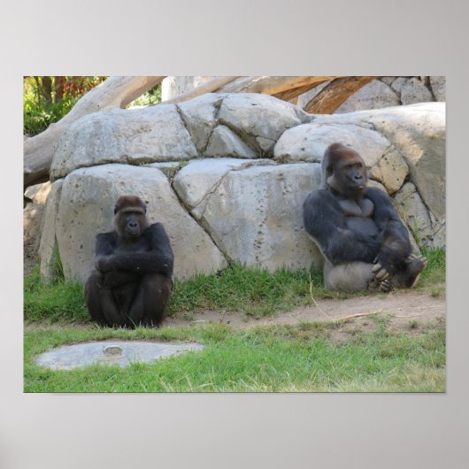 Lass uns warten und sehen poster (Vorne)