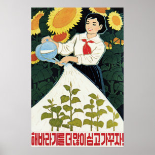 Lasse mehr Sonnenblumen wachsen! Nordkoreanische L Poster
