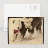 Lasse spielen! postkarte (Vorne/Hinten)