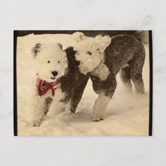 Lasse spielen! postkarte (Vorderseite)