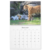 Lasse zum Zoo! Fun Animal Kalender (Mär 2027)