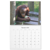 Lasse zum Zoo! Fun Animal Kalender (Jan 2026)