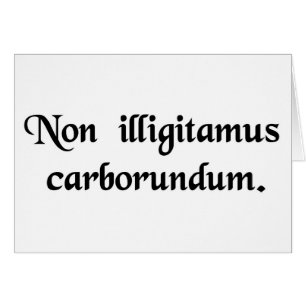 Lassen Sie die bastard Sie nicht unten reiben