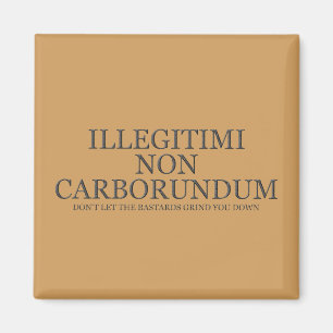 Lassen Sie die bastard Sie nicht unten reiben - Magnet