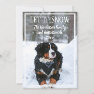 Lassen Sie es schneien Hund Foto Weihnachtskarte Feiertagskarte