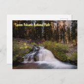 Lassen Sie nationalen Park Postcard Postkarte (Vorne/Hinten)