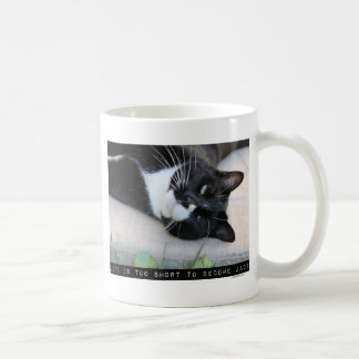 Lassen Sie sich nicht verwirren lustige Katze Kaffeetasse