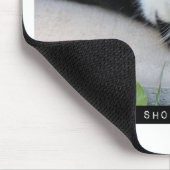 Lassen Sie sich nicht von der lustigen Cat Motivat Mousepad (Ecke)