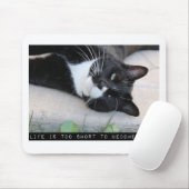 Lassen Sie sich nicht von der lustigen Cat Motivat Mousepad (Mit Mouse)