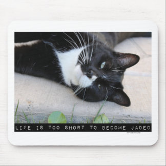Lassen Sie sich nicht von der lustigen Cat Motivat Mousepad