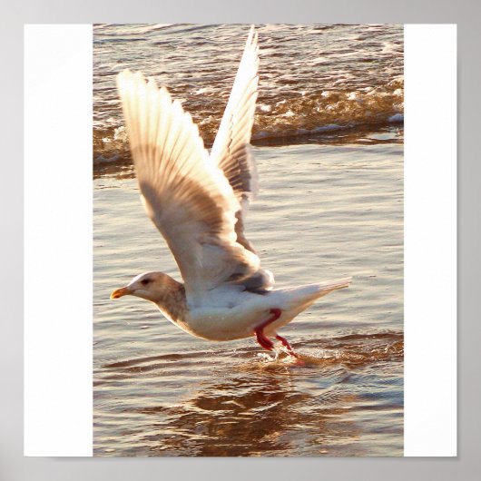 Lassend Go_ Poster_by Elenne Poster (Vorne)