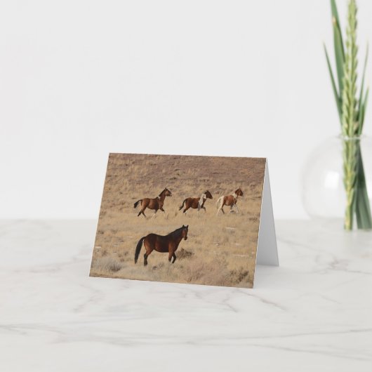 lassend wilder Gruß Karte (Vorderseite)