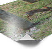 Lässig Bunny Fotodruck (Ecke)