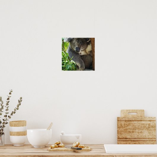 Lässig Koala Poster (Küche)
