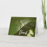 Lässige Handschrift Danke, Banana Leaf Foto