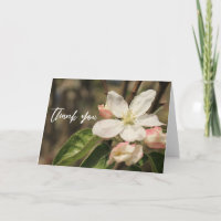 Lässige Handschrift Vielen Dank Apple Blossoms