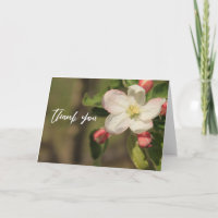 Lässige Handschrift Vielen Dank Apple Blossoms
