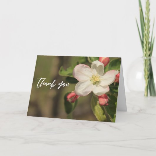 Lässige Handschrift Vielen Dank Apple Blossoms Karte (Vorderseite)