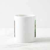 Lässige Koala-Kaffee-Tasse Kaffeetasse (Mittel)