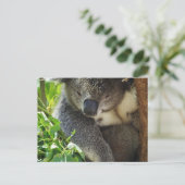 Lässige Koala Postcard Postkarte (Stehend Vorderseite)