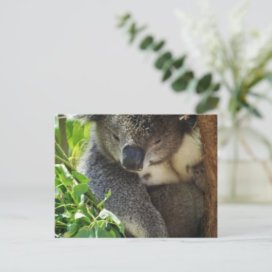 Lässige Koala Postcard Postkarte (Stehend Vorderseite)
