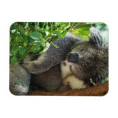 Lässiges Koala Flexible Magnet (Horizontal)