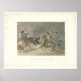 Lassoing a Bear (1178A) Poster