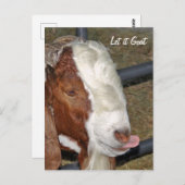 Lass's Goat, Boar Billy Postkarte (Vorne/Hinten)