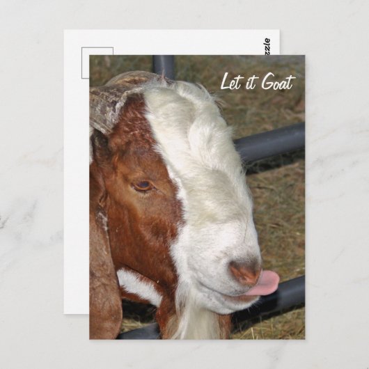 Lass's Goat, Boar Billy Postkarte (Vorne/Hinten)