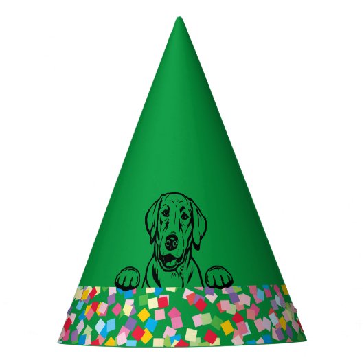 "Lass's PAWTY" Labrador Confetti Party Hats Partyhütchen (Vorderseite)