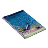 Lässt die Farben Ihr Führer sein Notizblock (Rechte Seite)