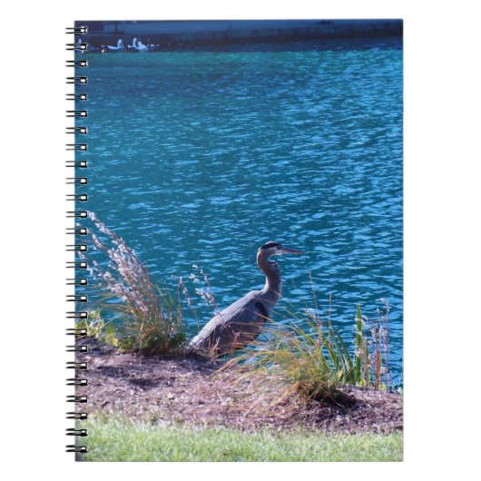 Lässt die Farben Ihr Führer sein Notizblock (Vorderseite)