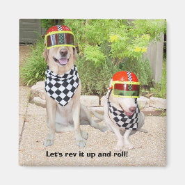 Lasst es uns aufregen und rollen! magnet