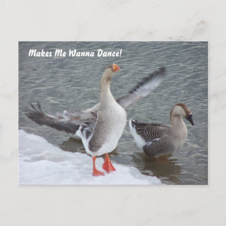 Lässt mich wollen, um zu tanzen! postkarte