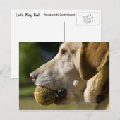 Lasst uns Ball spielen Postkarte (Vorne/Hinten)