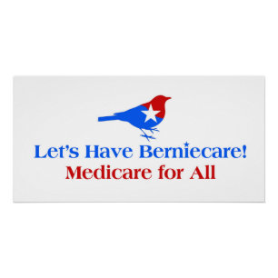 Lasst uns Berniecare haben - Medicare für alle Poster