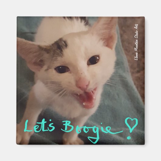 Lasst uns Boogie! Kätzchenmagnet Magnet (Vorne)