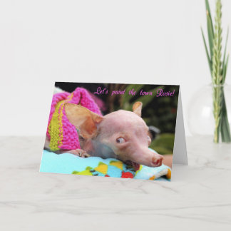 Lasst uns die Stadt Rosie streichen! Karte