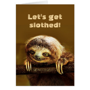 Lasst uns losgelassen werden