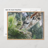 Lasst uns mal ein bisschen essen gehen! postkarte (Vorne/Hinten)