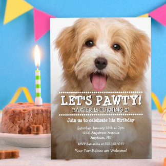 Lasst uns Pawty 2-Foto Haustier Geburtstag. Einladung